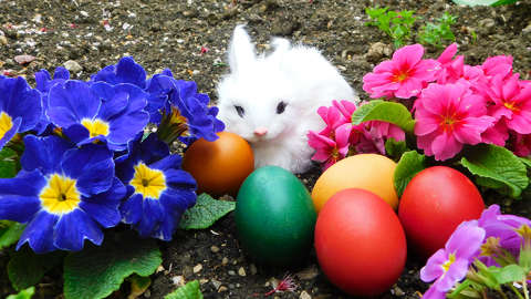 Kellemes húsvéti ünnepet kívánok!