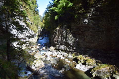 erdő kövek és sziklák patak