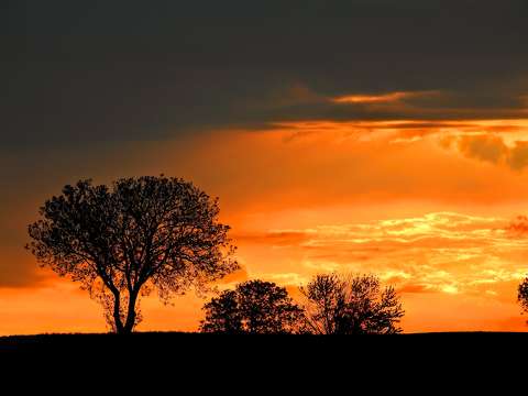 címlapfotó fa felhő naplemente