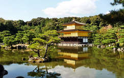 kiotó fenyő kinkakuji templom fa japán tó címlapfotó világörökség ősz kertek és parkok tükröződés