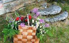Finnország, nyári virágok nyírfa kosárban, lépcsők régi malomkőből