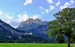 várak és kastélyok hegy címlapfotó németország alpok neuschwanstein kastély nyár
