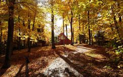 út címlapfotó ősz erdő kanada