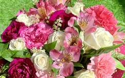 szegfű névnap és születésnap címlapfotó rózsa frézia virágcsokor és dekoráció