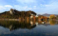 szlovénia templom tó várak és kastélyok címlapfotó ősz csónak alpok bledi-tó tükröződés