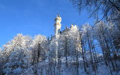 várak és kastélyok címlapfotó németország neuschwanstein kastély alpok tél