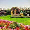 Dubai,Miracle Garden