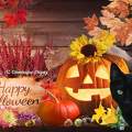 Halloween Halloween