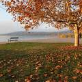 Őszi varázslat Balatonalmádiban. Őszi varázslat Balatonalmádiban.